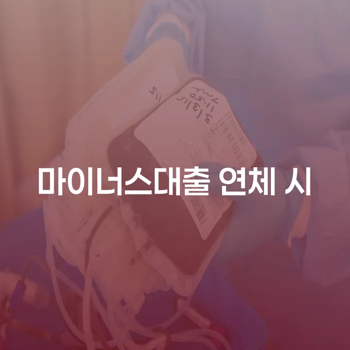 채무자대리인제도 빚청산 관련정보