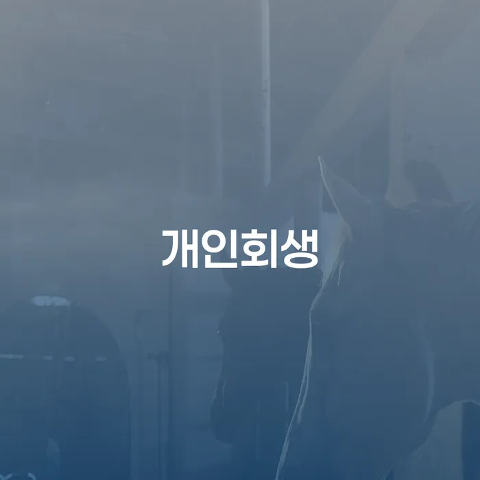 군인개인회생 카드빚 연체 법무법인추천