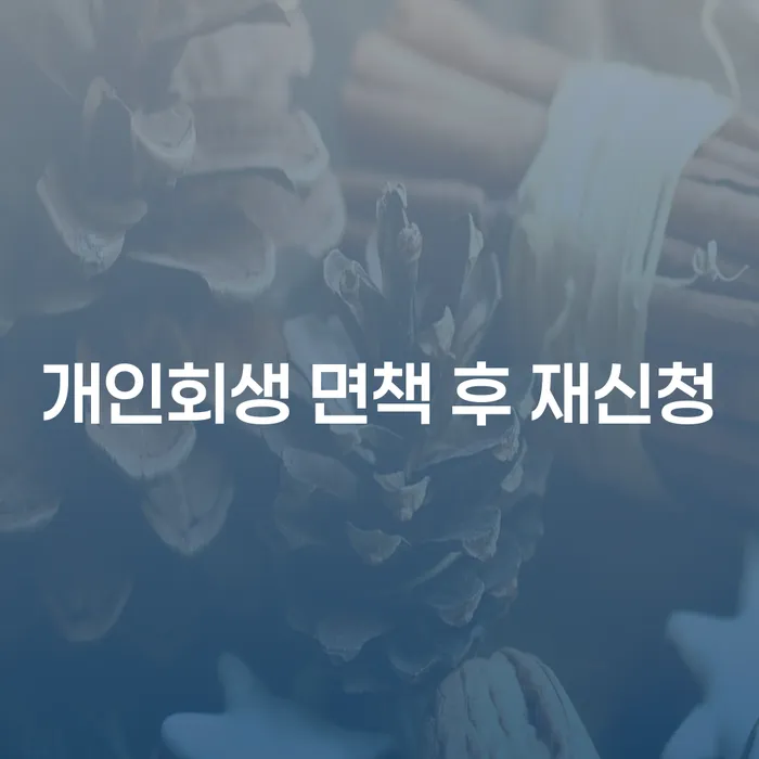 중랑구 청년대출 연체 시 개인회생 처리방법 신청절차에