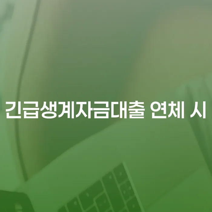 고흥군 카드론 연체 빚청산 알아보기