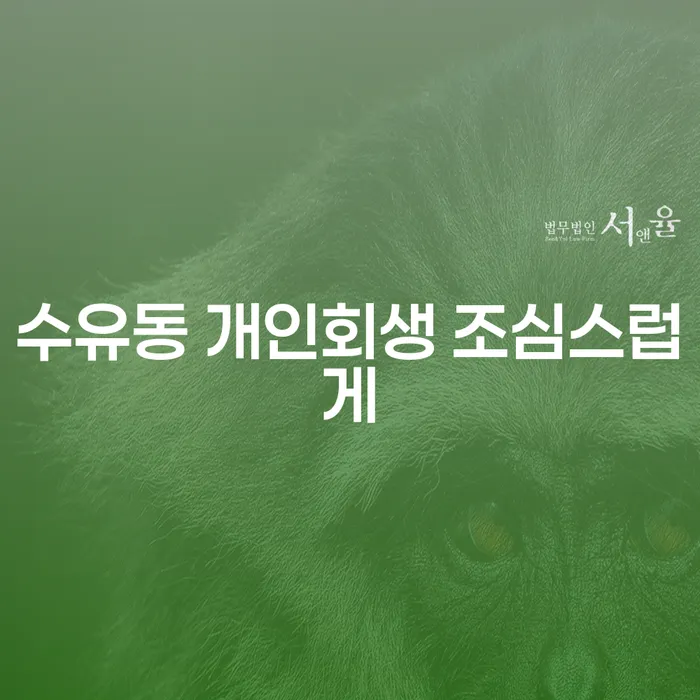 수유동 개인회생 조심스럽게
