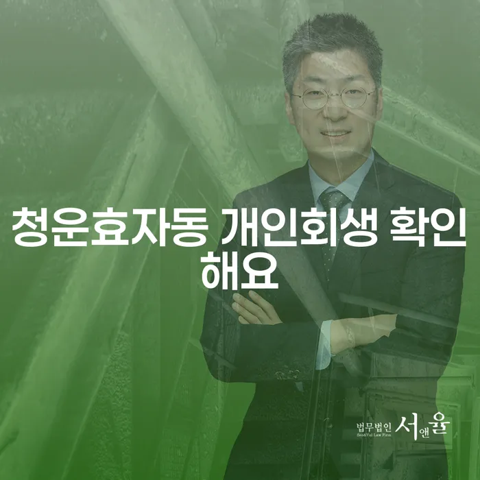청운효자동 개인회생 확인해요