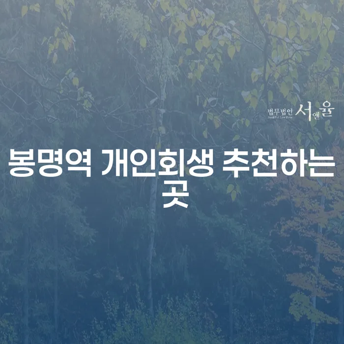 봉명역 개인회생 추천하는 곳