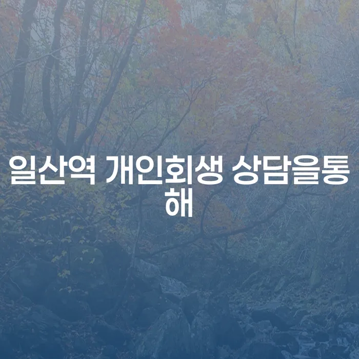 일산역 개인회생 상담을통해