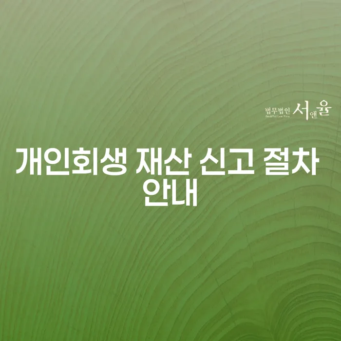 개인회생 재산 신고 절차 안내, 어떻게 해야 할까요?