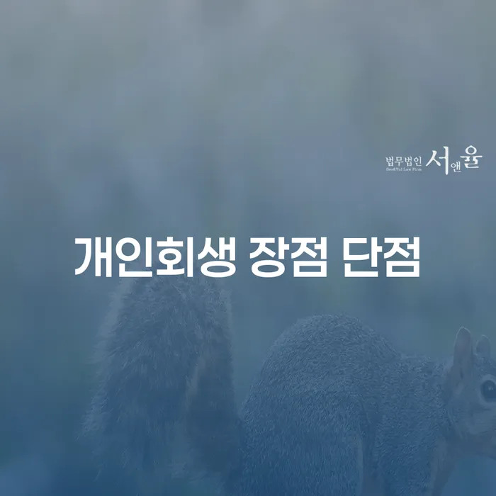 정릉2동 개인회생 장점과 단점 이해하기