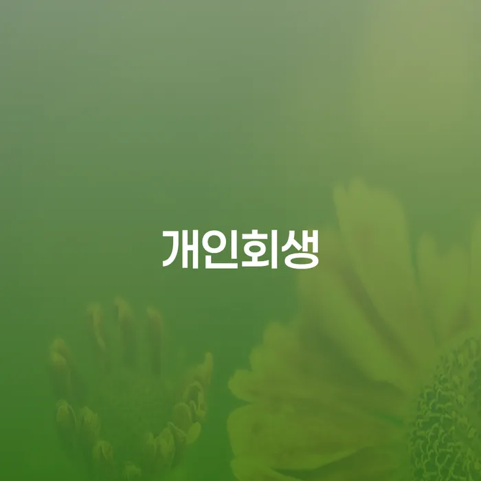휘경동 개인회생 절차 전문 가이드