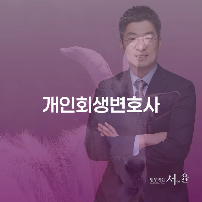도봉동 개인회생변호사: 개인회생과 파산, 당신의 선택은?