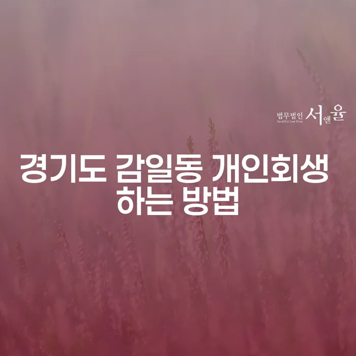 경기도 감일동 개인회생 하는 방법을 아시나요?