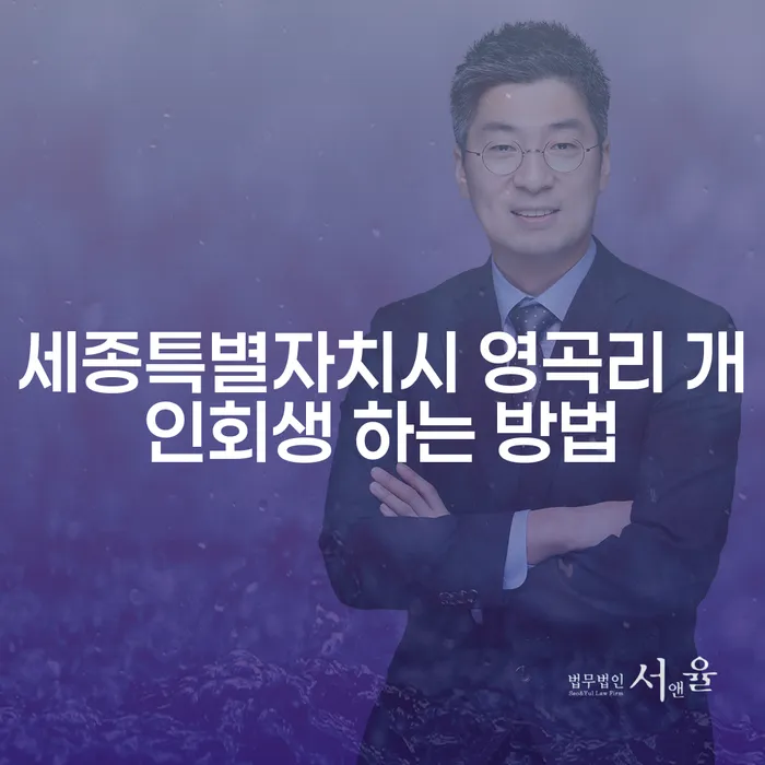 세종특별자치시 영곡리에서 개인회생을 시작하는 방법은 무엇일까요?