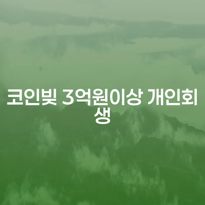 코인빚 3억원 이상 개인회생: 정말 가능한가요?